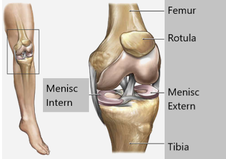 costul tratamentului meniscului genunchiului